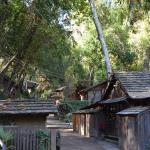 CambriaCN_0013 (November 04, 2016)